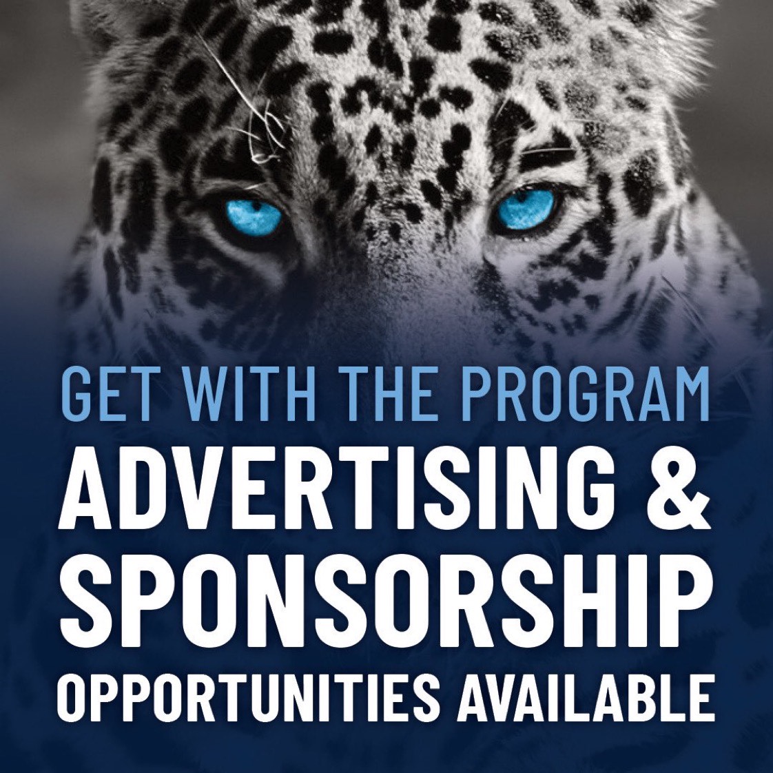 Advertising & Sponsorship